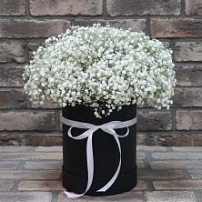 Цветочная композиция из Гипсофила в шляпной коробке в Рудничном Кемеровской области