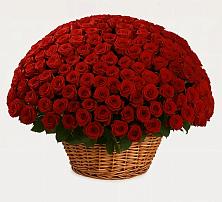 Премиум букет из: Розы в Рудничном Кемеровской области